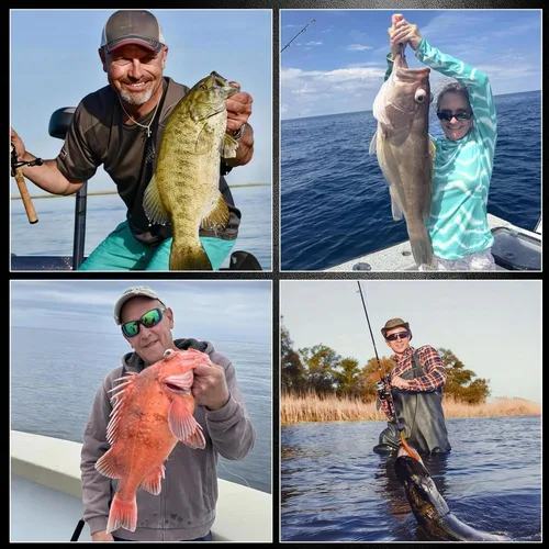 Miniatura 7 de FishTrip Ganchos circulares en línea para agua salada, 25 anzuelos de pesca para agua salada y agua dulce, anzuelo vivo sin compensación para bagre