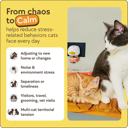 Miniatura 4 de TherapetMD Difusor calmante para gatos de 60 días - Difusor de feromonas para gatos para estrés, pulverización de orina, lucha contra gatos