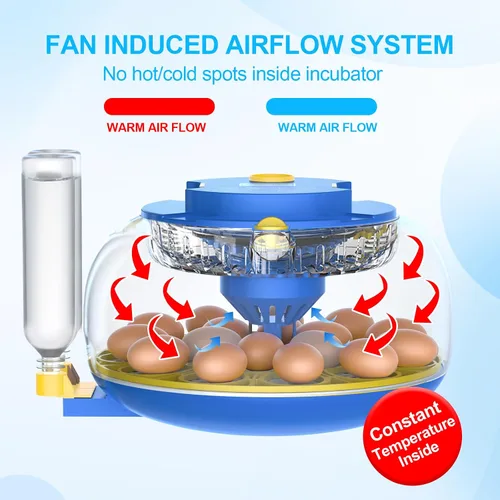 Miniatura 4 de 18 incubadoras de huevos para incubar huevos con control de temperatura, incubadora de huevos con giro automático de huevos y pantalla de humedad