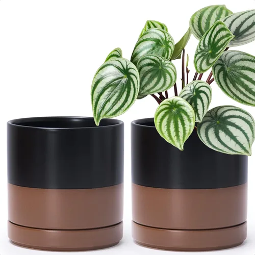 Miniatura 9 de D'vine Dev - Juego de 2 macetas de plantas de 3.5 pulgadas, maceta de cerámica para plantas con agujero de drenaje y platillo, negra, 94-V-A-2