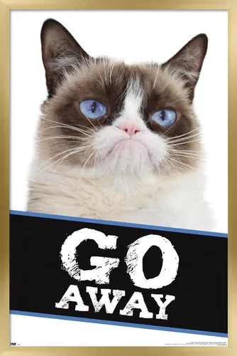 Miniatura 13 de Trends International Grumpy Cat - Póster de pared con texto en inglés «Go Away», 14.725 x 22.375 pulgadas, versión enmarcada de madera de granero