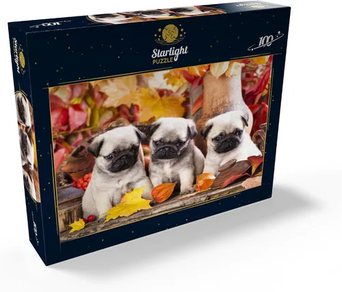 Miniatura 2 de MyPuzzle Pug Puppies - Rompecabezas prémium de 100 piezas, fabricado en Estados Unidos