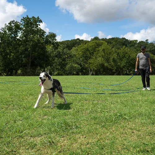 Miniatura 6 de Hi Kiss Correa de Entrenamiento de Obediencia y Agilidad para Perros/Cachorros - 15 pies 20 pies 30 pies 50 pies 100 pies - Ideal para Jugar
