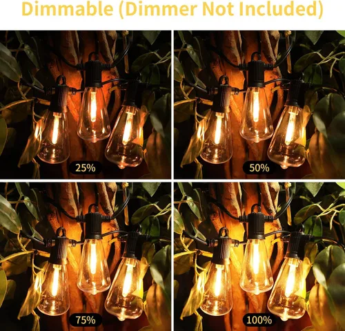 Miniatura 2 de ZOTOYI Guirnalda de luces para exteriores, luces de bistró de 25 pies con 13 bombillas LED ST38 inastillables, tira de luces conectables