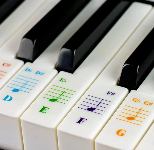 QMG Calcomanías para teclado de piano para 88/76/61/54/49/37 teclas grandes para aprendizaje, letras extraíbles para teclado de piano, etiqueta de