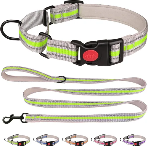 Miniatura 9 de Collar Martingala para perros, juego de collar y correa Martingala reflectante acolchado de neopreno suave con hebilla de seguridad, collar Azul