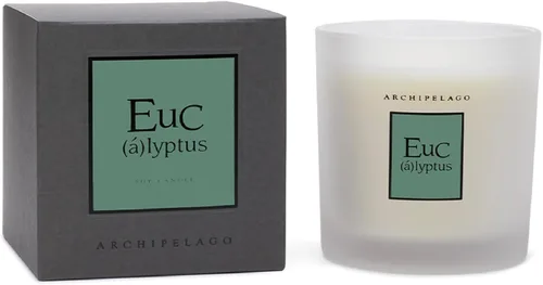 Archipelago Botanicals Vela en caja de eucalipto silvestre, hoja de palma y almizcle, mezcla de cera de soja limpia que dura 90 horas (14 onzas)