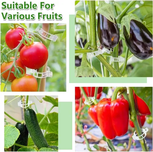Miniatura 7 de FXOICMI Clips de soporte para plantas, clips de fijación de jardín de plástico para plantas trepadoras, vides de tomate y uva, clips de jardín