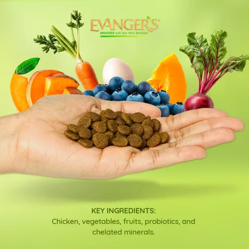 Miniatura 5 de Evanger's Pollo sin granos con batata y calabaza alimento seco para perros – 4.4 libras – Pollo fresco deshuesado, probióticos, omegas 3 y 6, sin