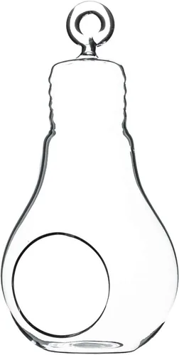 WGV - Terrario de cristal colgante para plantas, ancho de 3 pulgadas, altura de 6 pulgadas, bombilla de aire para suculentas, jarrón transparente,