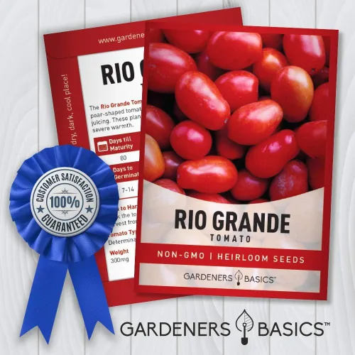 Miniatura 3 de Gardeners Basics Semillas de tomate Rio Grande para plantar semillas tradicionales sin OMG para verduras de jardín casero son un gran regalo