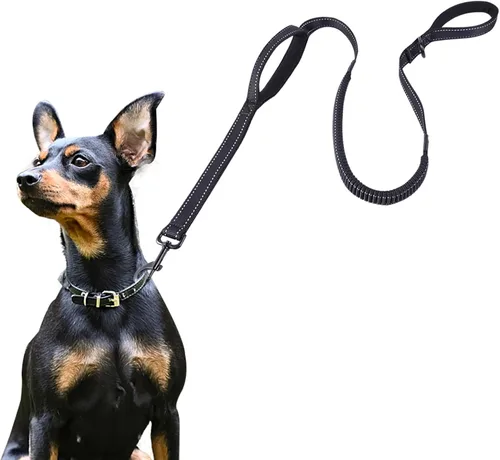 ECO-CLEAN Correa reflectante de entrenamiento para perros de 6 pies, absorción de golpes, correa de perro retráctil fuerte para perros medianos y