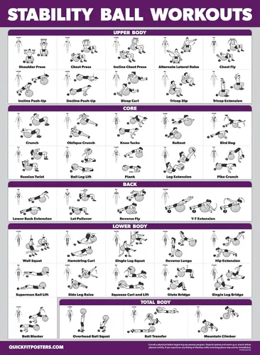 Miniatura 5 de Palace Learning Paquete de 2 ejercicios de entrenamiento de pelota de yoga Volumen 1 y Volumen 2 - Rutina de pelota de estabilidad - Gráficos