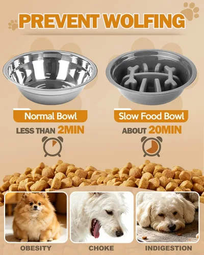 Miniatura 4 de Jovrun Cuencos elevados para perros y gatos pequeños con alfombra, cuencos antideslizantes para gatos con 1 plato de acero inoxidable y 1 cuenco