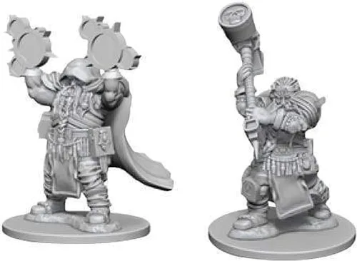Miniatura 4 de D&D NMU: Paladín macho enano W4