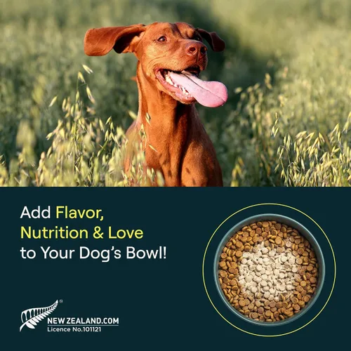 Miniatura 4 de POP-Topper - Comida para perros – Polvo multivitamínico para perros de 35 libras en adelante – Deliciosa base de caldo de huesos con 6