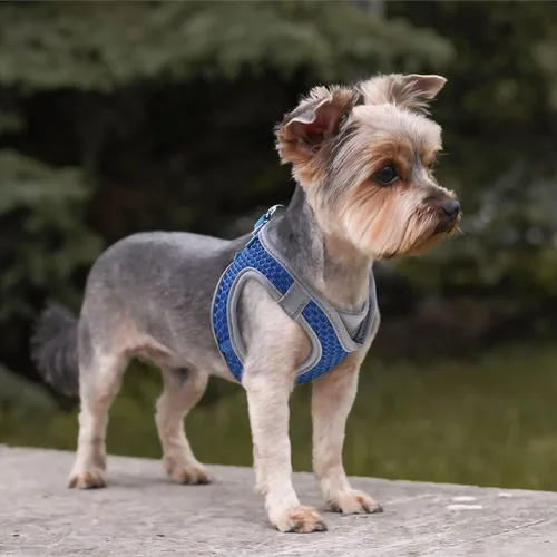 Miniatura 8 de KZA308 Arnés reflejante con cuello en V de malla para perro, sin jalones, facilita el paseo, ajuste rápido, cómodo, con velcro ajustable