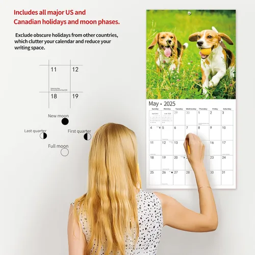 Miniatura 4 de Calendario de pared 2026, calendario 2026, noviembre de 2025 a diciembre de 2026, calendario de pared Beagles, 12 x 24 pulgadas abierto, página