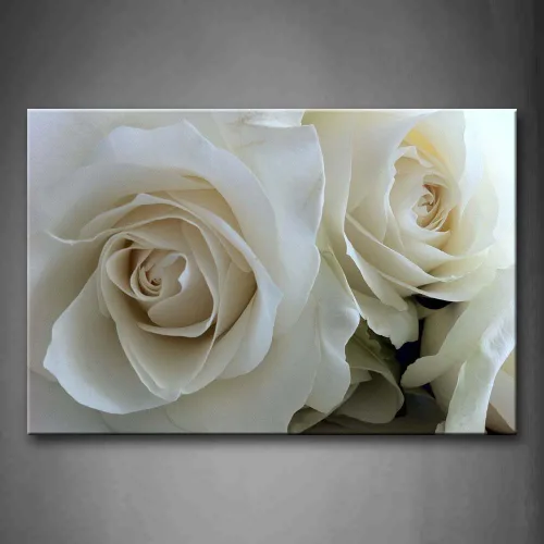 First Wall Art - Enormes rosas en blanco puro arte de la pared pintura imágenes impresas en lienzo flor la imagen para decoración moderna del hogar