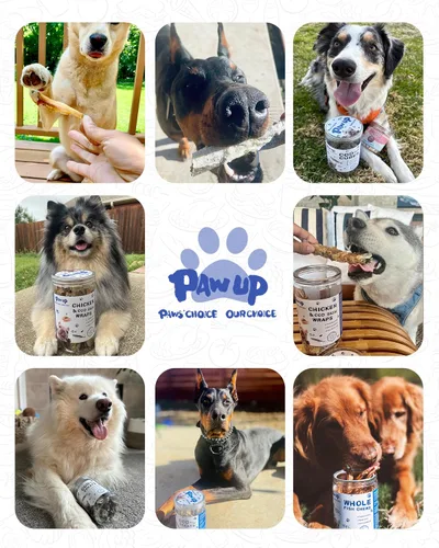 Miniatura 7 de PAWUP - Golosinas secas para perros de pescado entero, bocadillos de omega-3 con alto contenido de proteínas Skin & Coat Health, Recompensas