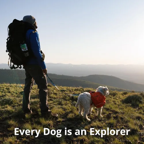 Miniatura 9 de Ruffwear, Load Up - Arnés de automóvil para perro, acolchado ajustable, sujeción de viaje con accesorio universal para cinturón de seguridad