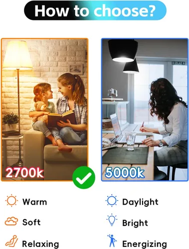 Miniatura 8 de Jensense Edison - Bombillas LED E26 de 6 W, equivalente a 60 W, bombillas LED vintage CRI90+ ST19, bombillas transparentes regulables, 2700 K, 2700K