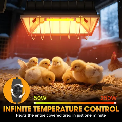 Miniatura 4 de Lámpara de calor para pollos, lámpara de calor halógena de pollo para aves jóvenes, calentador de gallinero y criador infrarrojo seguro, control