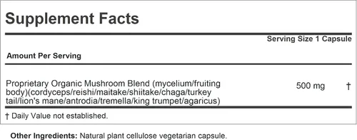 Miniatura 2 de ANDREW LESSMAN Wellness Mushroom Complex 30 cápsulas – Mezcla orgánica de espectro completo de 11 hongos – Apoya la salud y la vitalidad en general