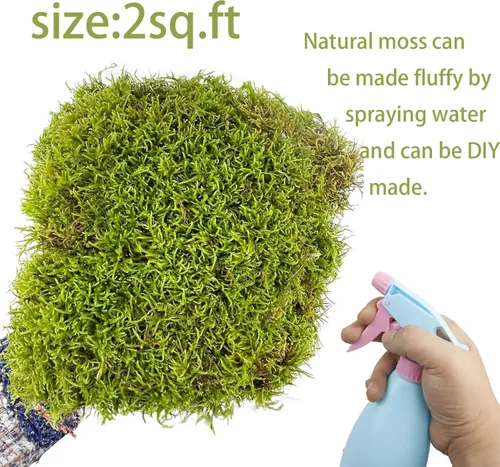 Miniatura 2 de Musgo preservado para manualidades, plantas en maceta, 2 pies cuadrados, tapete de musgo preservado natural seco para macetas, manualidades