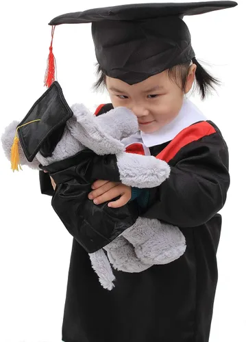 Miniatura 6 de Plushland Juguetes de peluche de cerdo, regalos para el día de graduación, texto personalizado, nombre o logotipo de tu escuela en el vestido, lo
