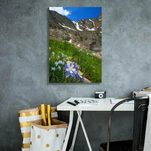Miniatura 4 de Epic Graffiti 'Alpine Columbine - Parque Nacional de las Montañas Rocosas' por Darren White, arte de pared giclée, 18 x 26 pulgadas
