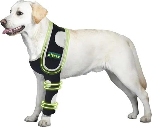 Miniatura 23 de Arnés para perros medianos, arnés de apoyo para la pierna trasera para asistencia de movilidad, ayuda a apoyar perros con problemas