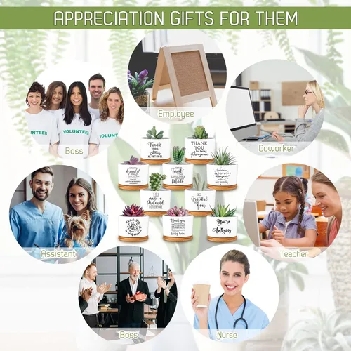 Miniatura 6 de Yaomiao 20 piezas de regalo de la semana de CNA, regalos de agradecimiento a los empleados, regalos de plantas suculentas a granel para mujeres