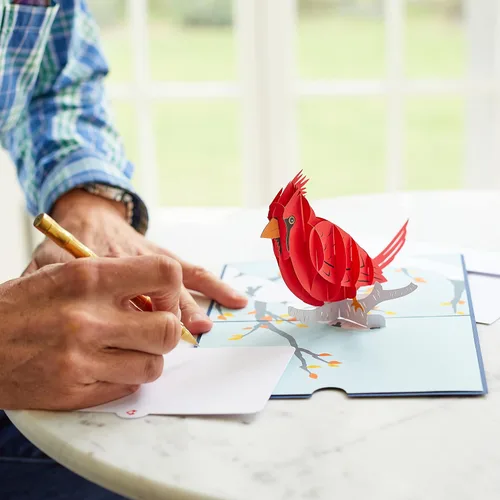 Miniatura 5 de Lovepop Tarjeta Desplegable Diaria para Ella y Él - Tarjetas de Felicitación 3D Pensando en Ti para Niños, Niñas, Hombres, Mujeres - 5" x 7" Cardenal