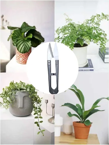 Miniatura 5 de MUUZLL Paquete de 3 tijeras de podar bonsái de 4.1 pulgadas, brotes y hojas, cortador de hilo de hilo cortador, suministros de recorte, plantas