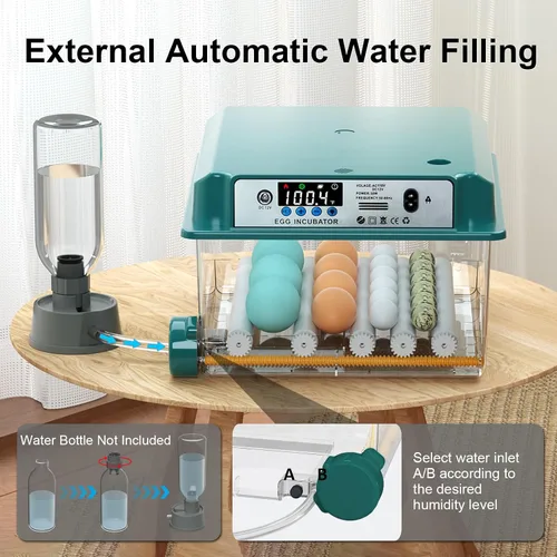 Miniatura 3 de Incubadoras para incubar 16 huevos, incubadora de huevos con giro automático de huevos y relleno de humedad, control de temperatura, incubadora