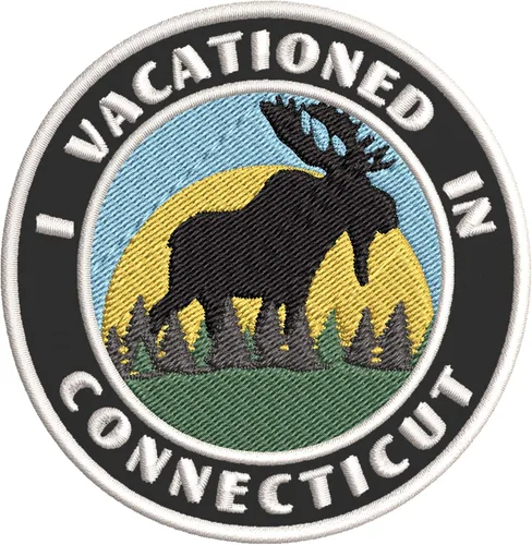 Miniatura 5 de I Vacationed in Connecticut - Parches decorativos bordados de 3.5 pulgadas, para planchar o coser, recuerdos de vacaciones, viajes, aventura, tema