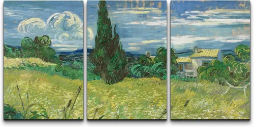 Miniatura 84 de Lienzo decorativo para pared - cuadro con estampado Giclée para decoración del hogar Noche estrellada sobre el Ródano