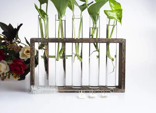 Miniatura 7 de Estación de propagación de plantas de madera de 5 tubos, soporte de terrario de vidrio de mesa para esquejes hidroponía, decoración de escritorio