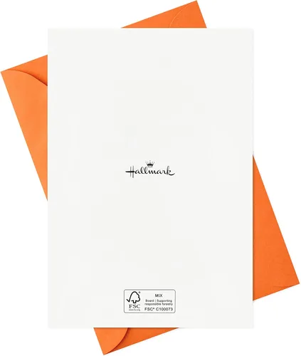 Miniatura 9 de Hallmark Surtido de tarjetas de Halloween, Boo to You (36 tarjetas con sobres)