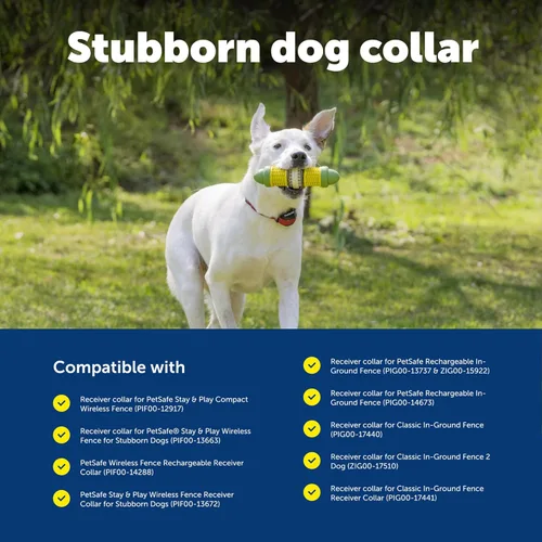 Miniatura 6 de PetSafe Stay & Play - Collar receptor de valla inalámbrica para perros obstinados - Collar receptor recargable e impermeable con carga rápida en 2-3