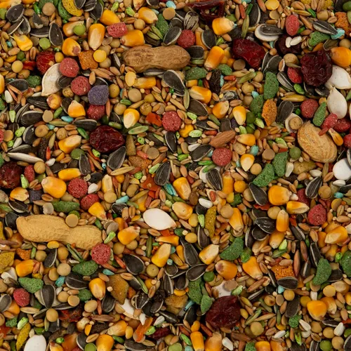 Miniatura 3 de Wild Harvest Advanced Nutrition - Loro de 4 libras, mezcla de semillas, granos y verduras