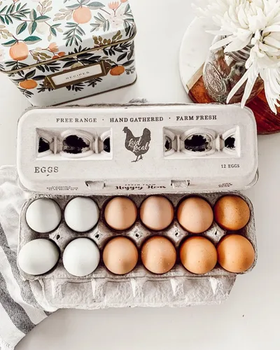 Miniatura 6 de Cartones de huevos impresos vintage, paquete de 90 cajas de cartón Henlay - Sostiene de forma segura una docena de huevos de pollo pequeños a XL