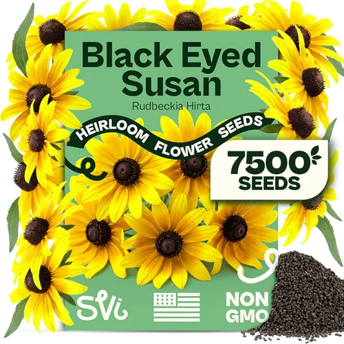Miniatura 26 de Queen Anne 's Lace- 200 semillas – 50% de descuento venta