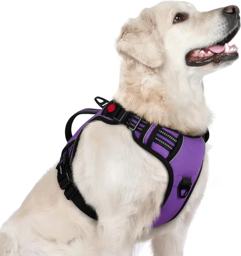 Miniatura 20 de rabbitgoo Arnés para perro de tamaño pequeño, arnés para mascotas sin tirones con mango acolchado suave, chaleco reflectante ajustable con 3
