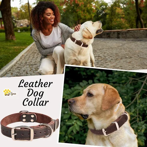 Miniatura 3 de ADITYNA Collar de Cuero Resistente para Perros Medianos - Collar Suave y Fuerte para Caminar, Entrenar, Senderismo y Correr