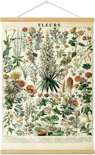 Portaposter Vintage con Flores, Marco de Pared con Tabla de Referencia Floral de Plantas, Decoración de Pared Cottagecore, Decoración Estética de