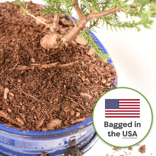 Miniatura 5 de Tierra para bonsái de Perfect Plants - 2qts. Mezcla premium multiusos para variedades de árboles bonsái
