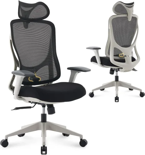 Nouhaus Apertura - Silla ergonómica de oficina, sillas de escritorio de oficina en casa con soporte lumbar ajustable y reposacabezas, soporte Gris