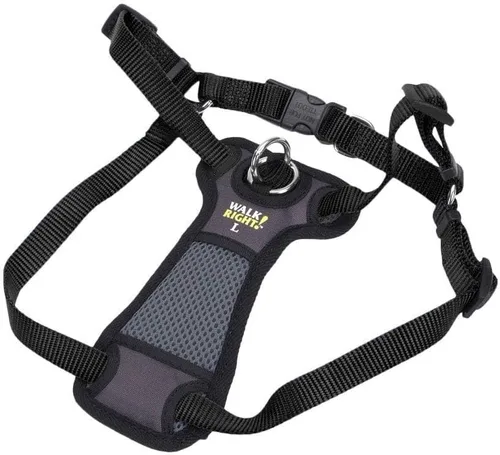 Miniatura 4 de Coastal Pet Walk Right - Arnés acolchado para perro con conexión frontal y sin tirones, ajustable y cómodo, ajuste para razas pequeñas y grandes